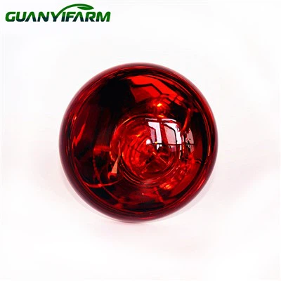 Bulb Inframerah Untuk Anak Ayam