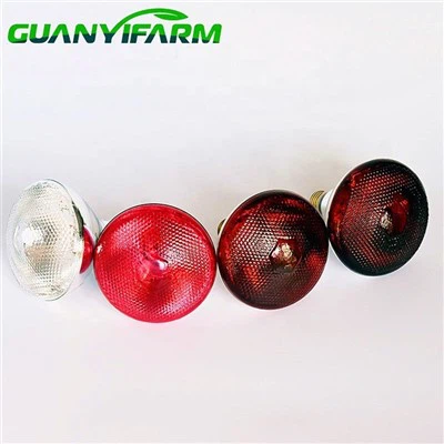 Lampu Panas Inframerah