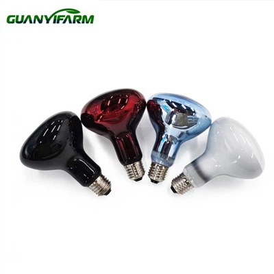 Cahaya Inframerah Untuk Reptil