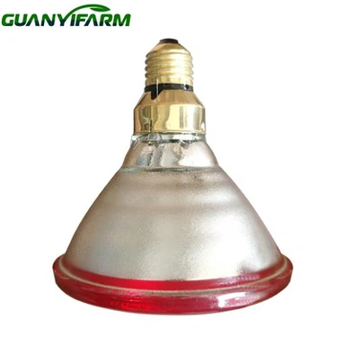 Red Heat Bulb Untuk Ayam