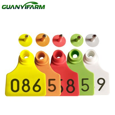 Tag Telinga Babi Kustom TPU