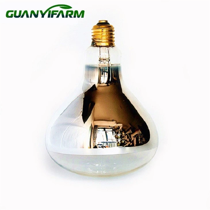 Lampu Panas Unggas 250w