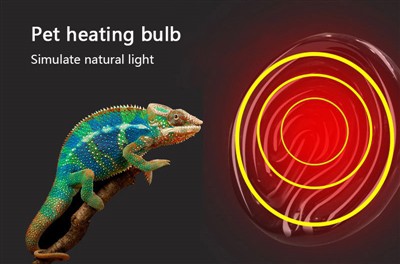 Keuntungan Lampu Reptil Tokek