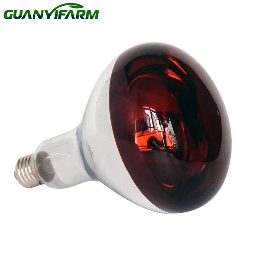 detail of r40 120 volt 250 watt infrared bulb detail of r40 120 volt 250 watt infrared bulb