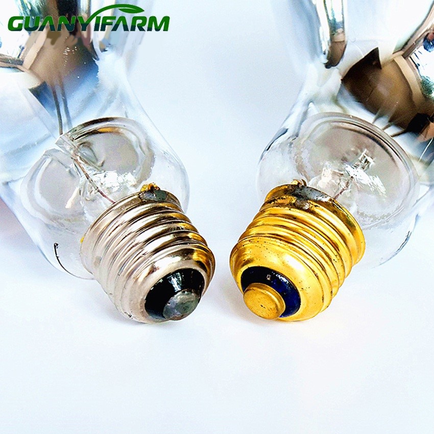 detail of infra red heat bulb 01 detail of infra red heat bulb 01