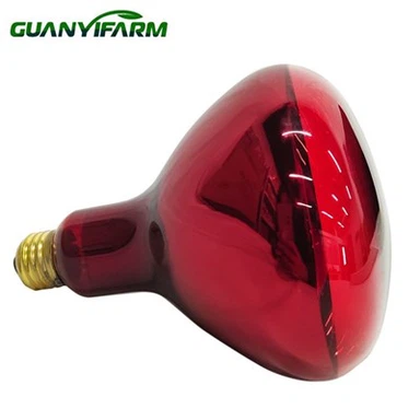 Bola Lampu Merah Untuk Ayam